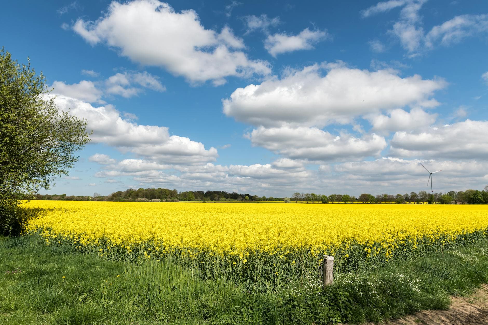 Wellnesshotels in Hohwacht