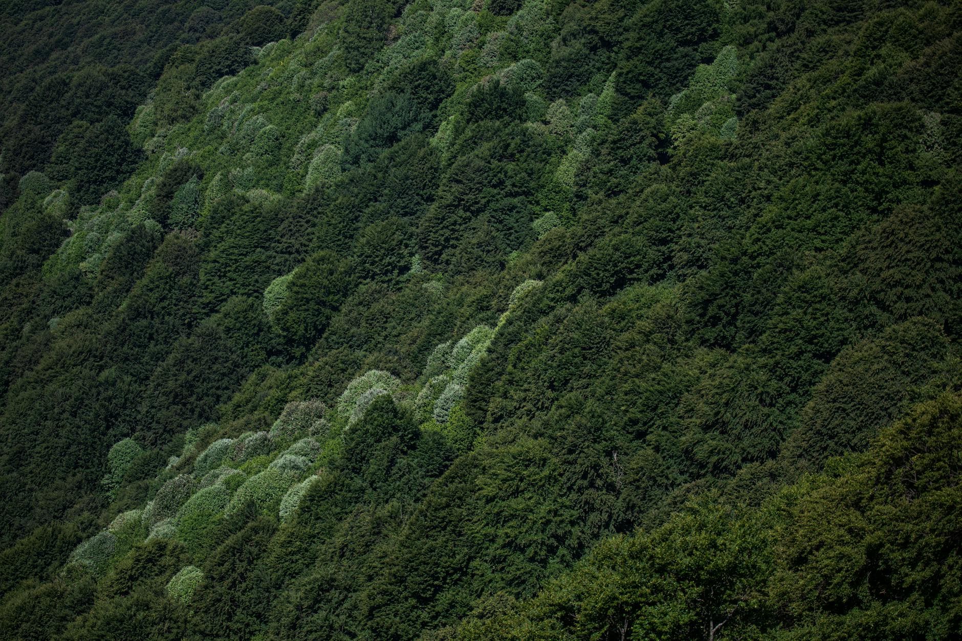 Wellnesshotels in Lugano