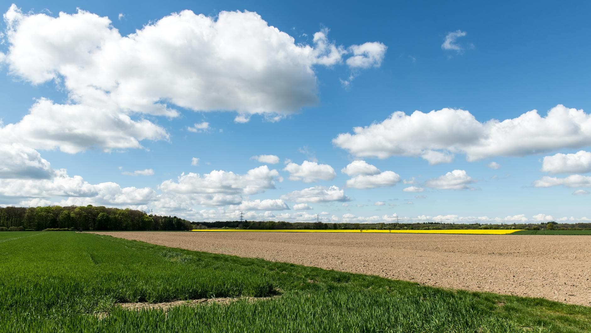 Wellnesshotels in Schleswig