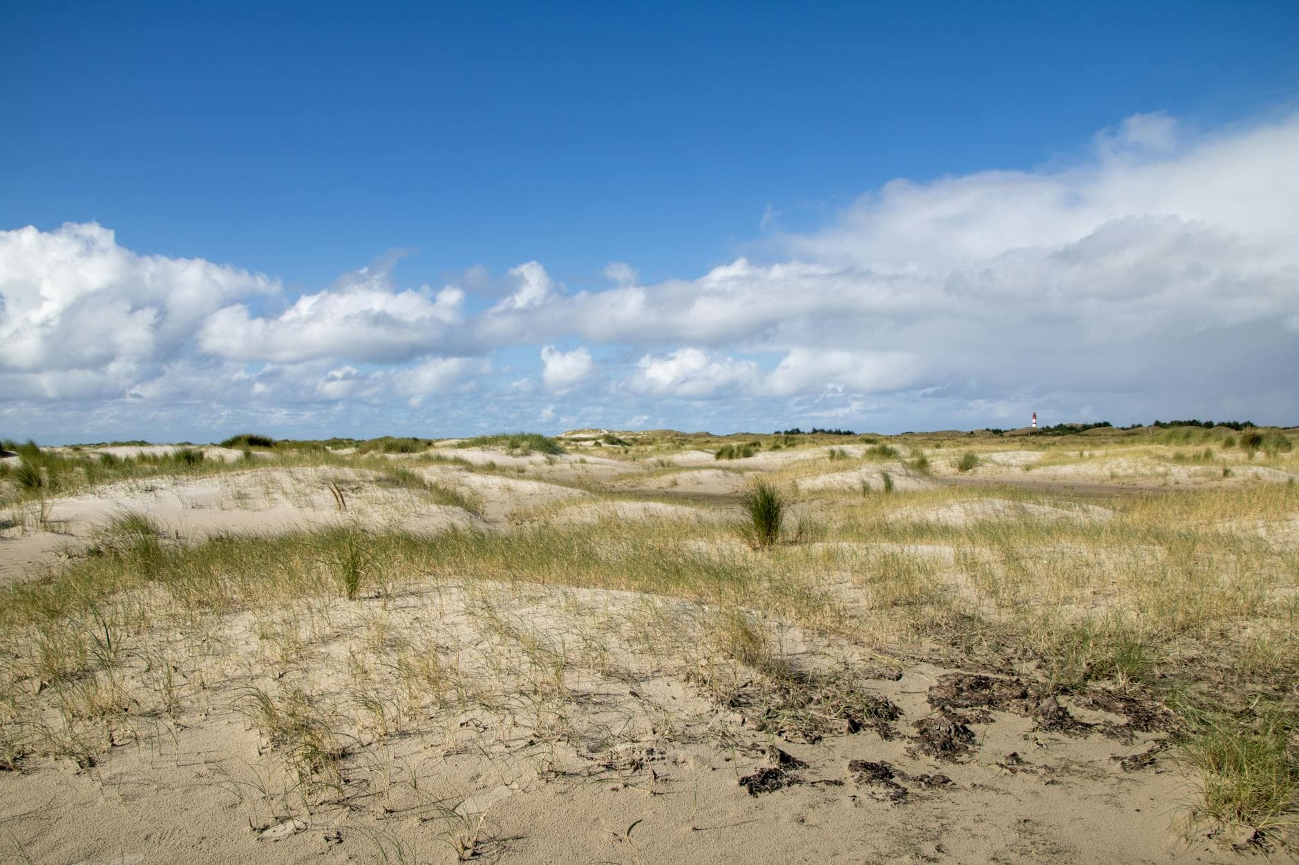 Wellnessregion Binnenland