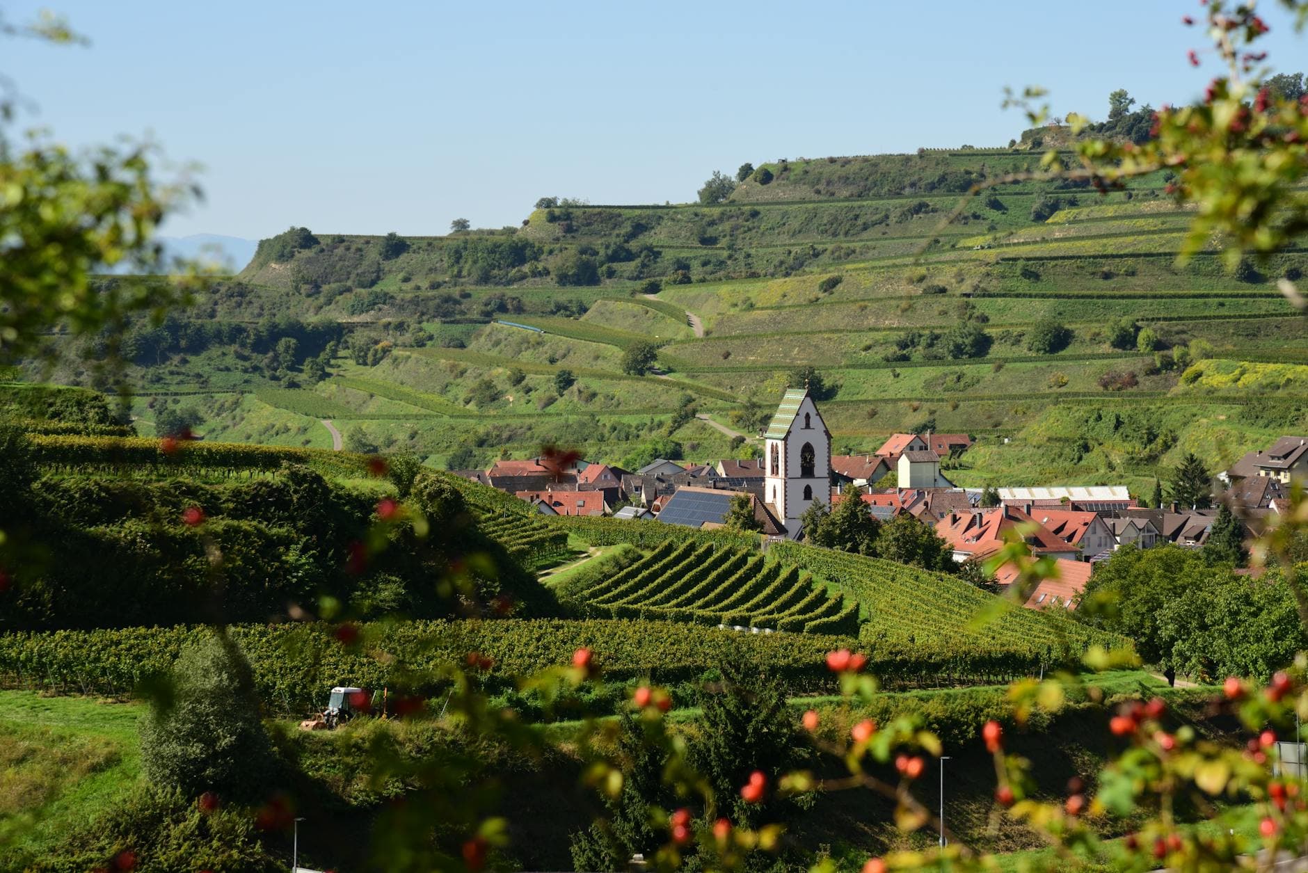 Wellnessregion Weinviertel