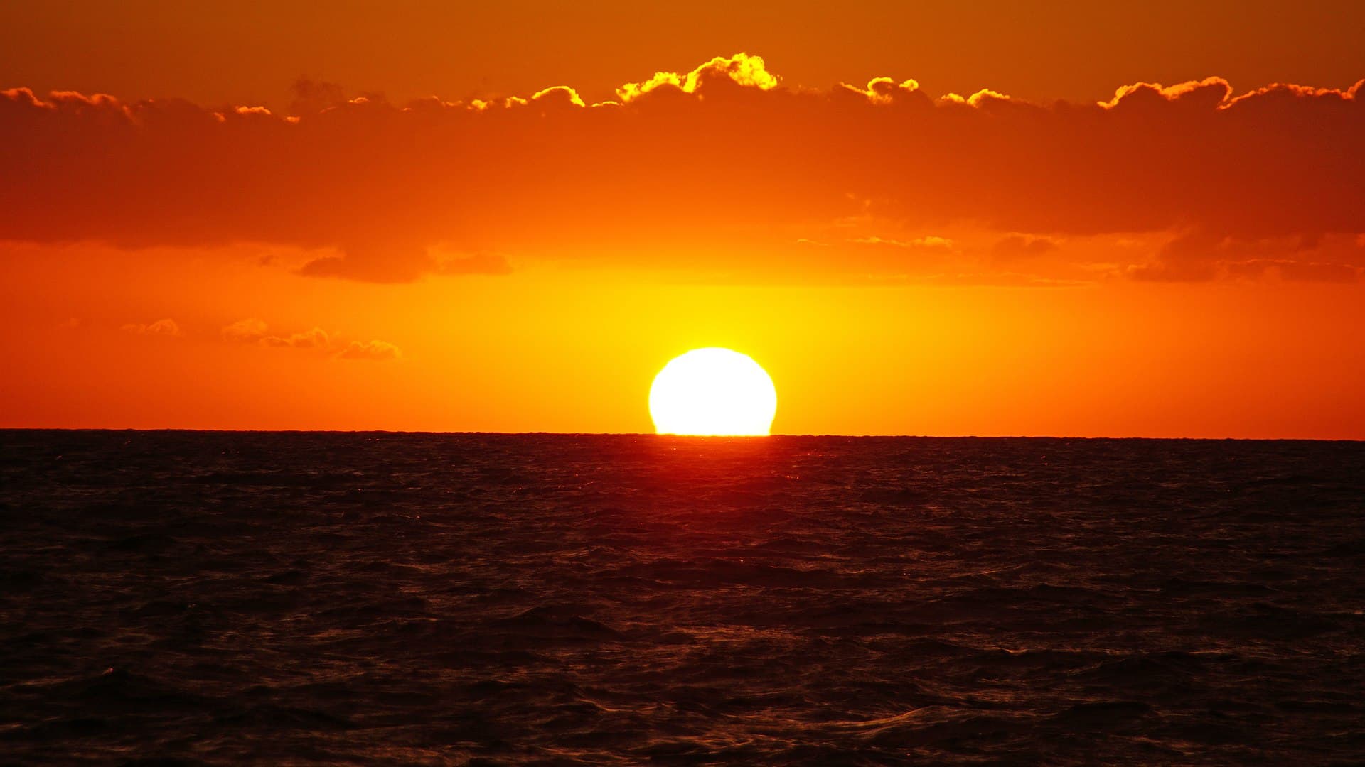 Nationalpark Vorpommersche Boddenlandschaft