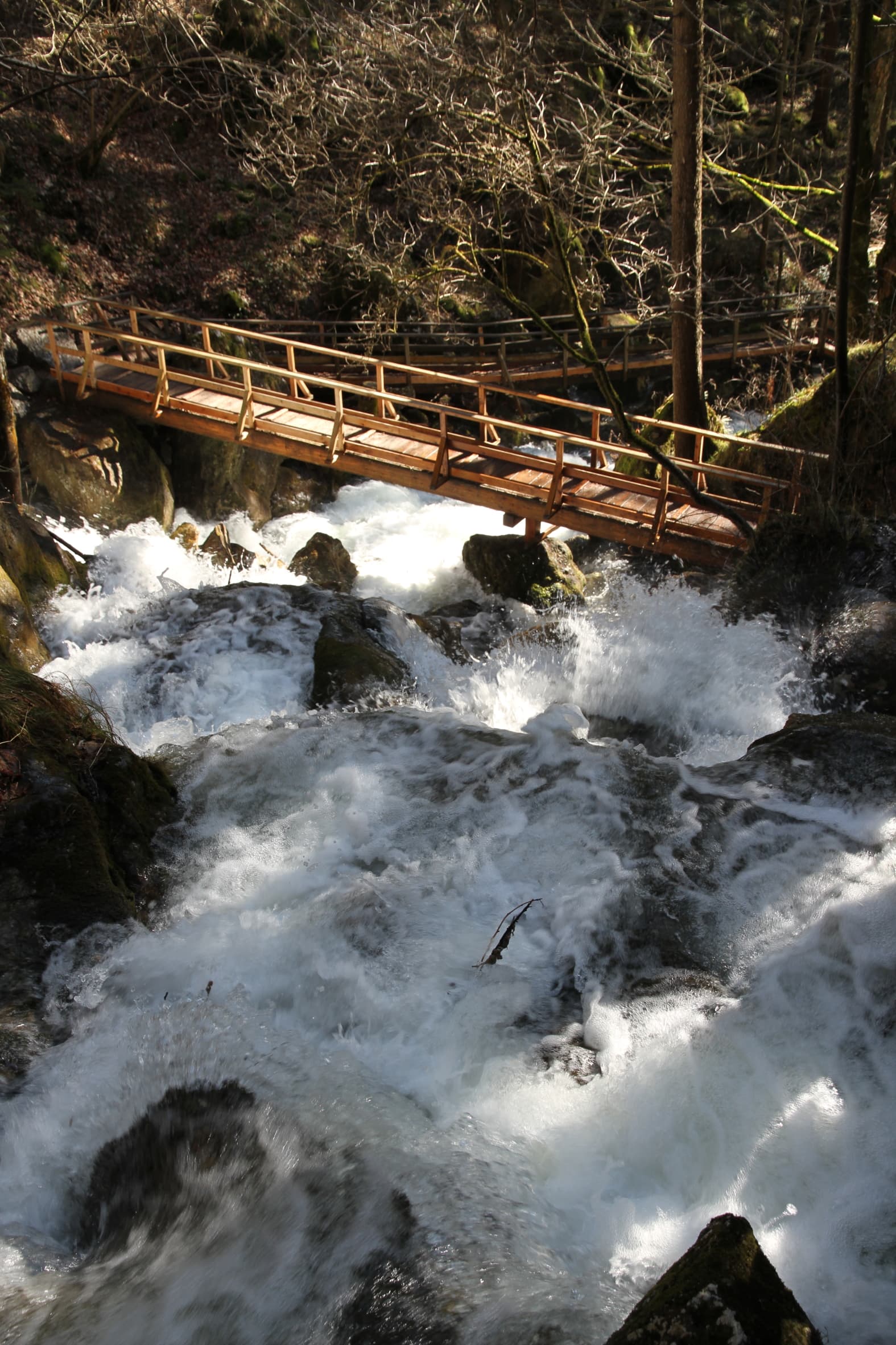 Myrafälle Muggendorf