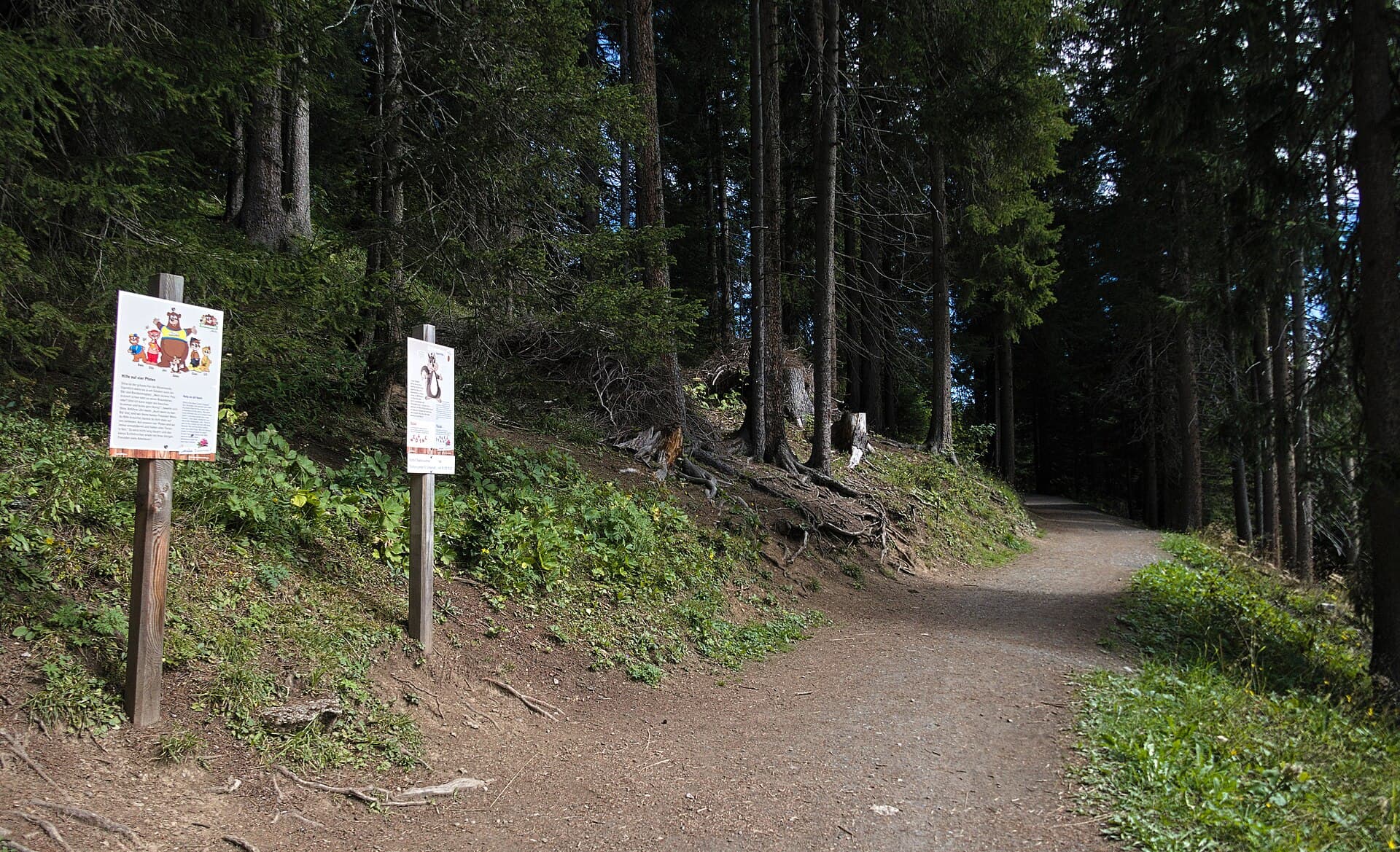 Eichhörnliweg Arosa