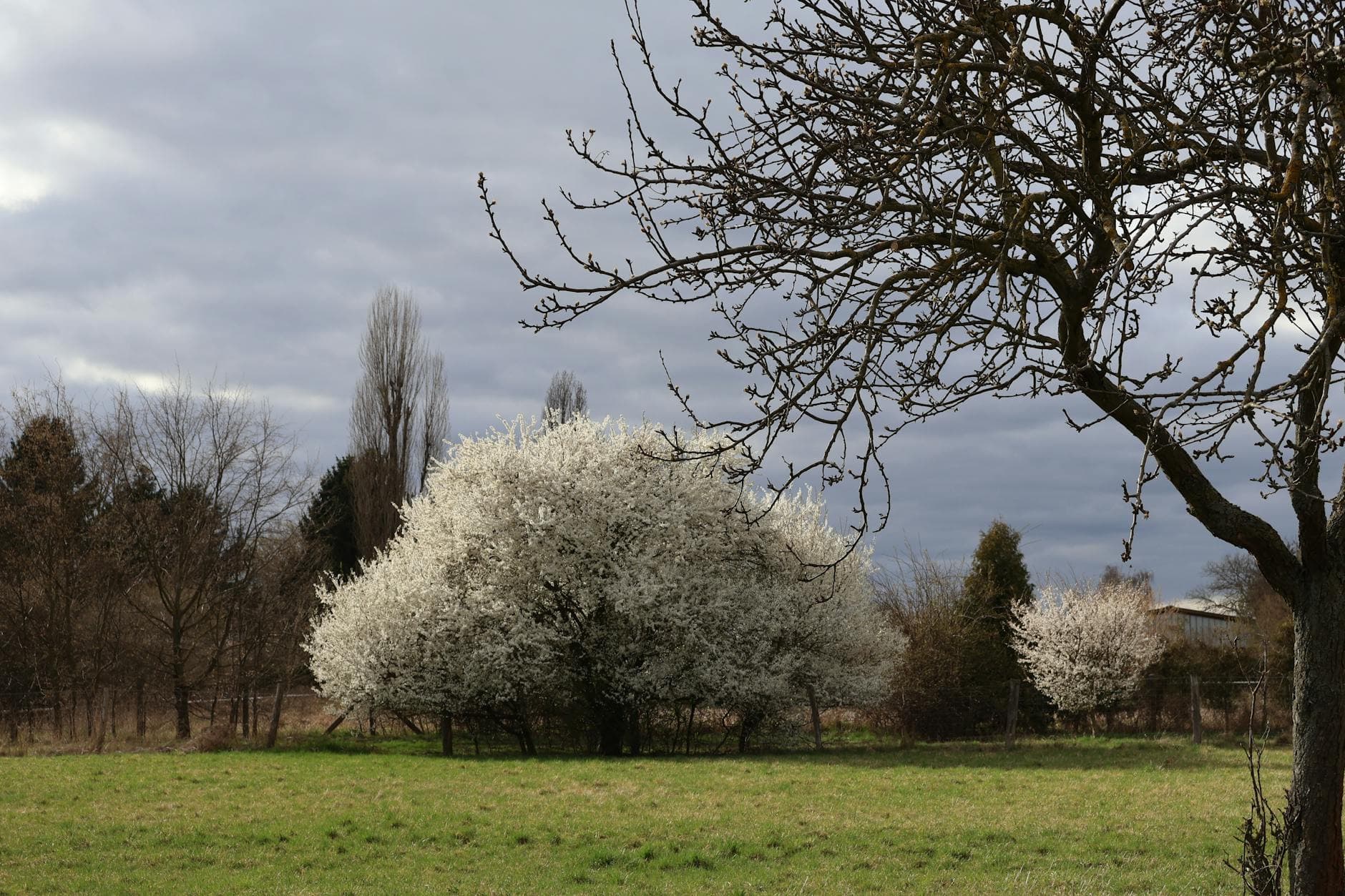 Wellnesshotels in Berlin