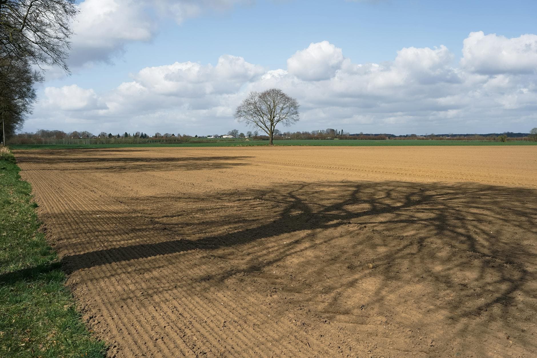 Wellnesshotels in Damp