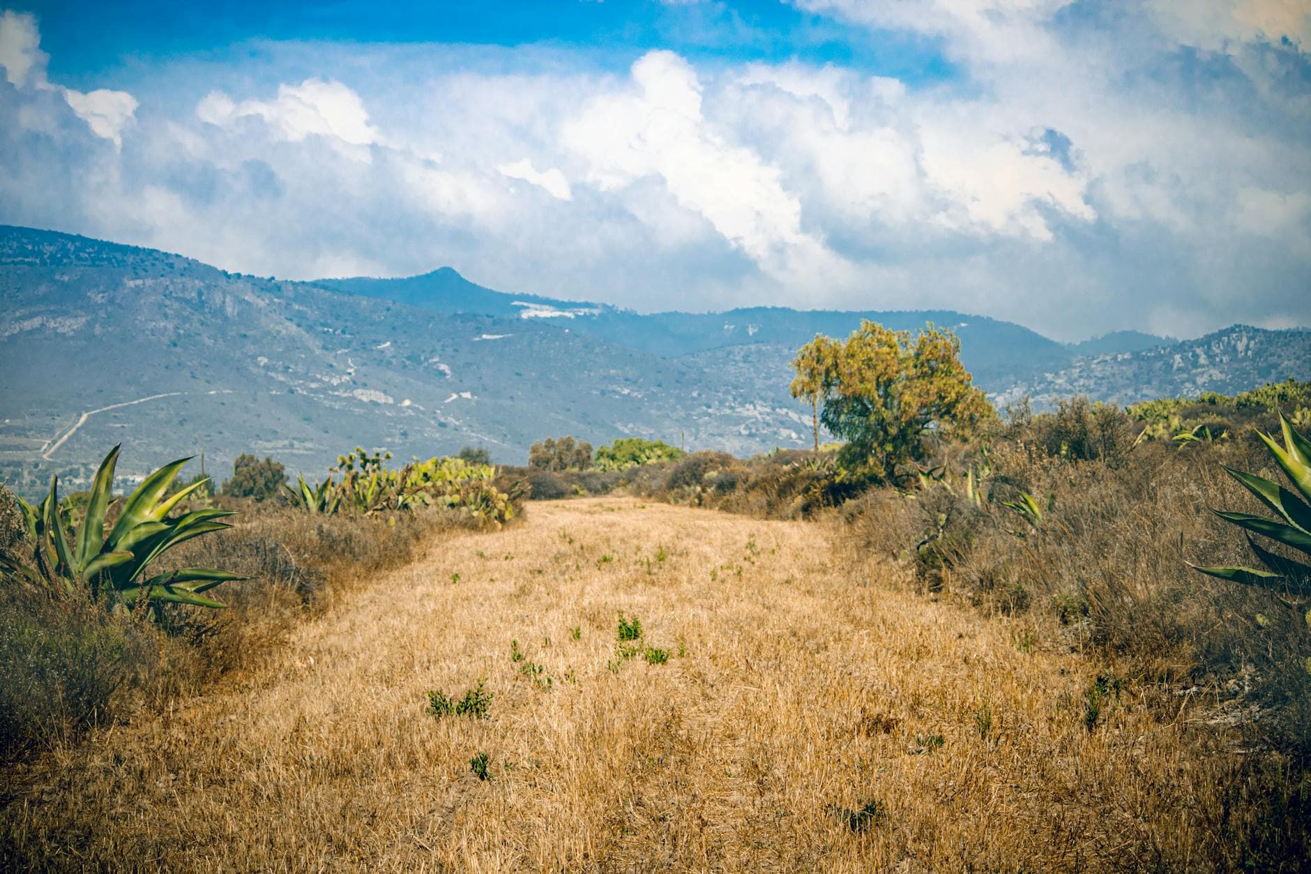 Wellnesshotels in Genf