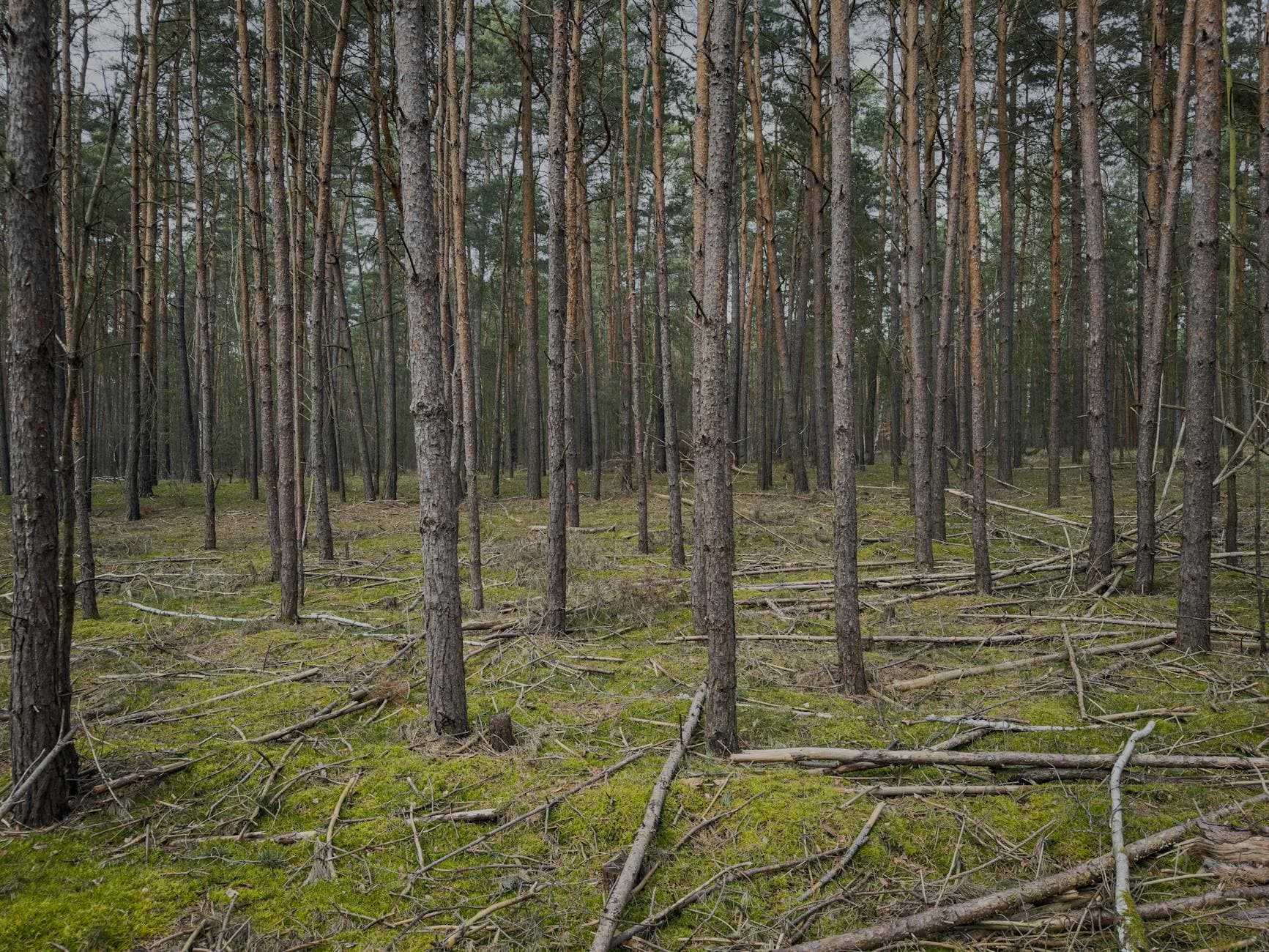 Wellnesshotels in Kremmen- Sommerfeld