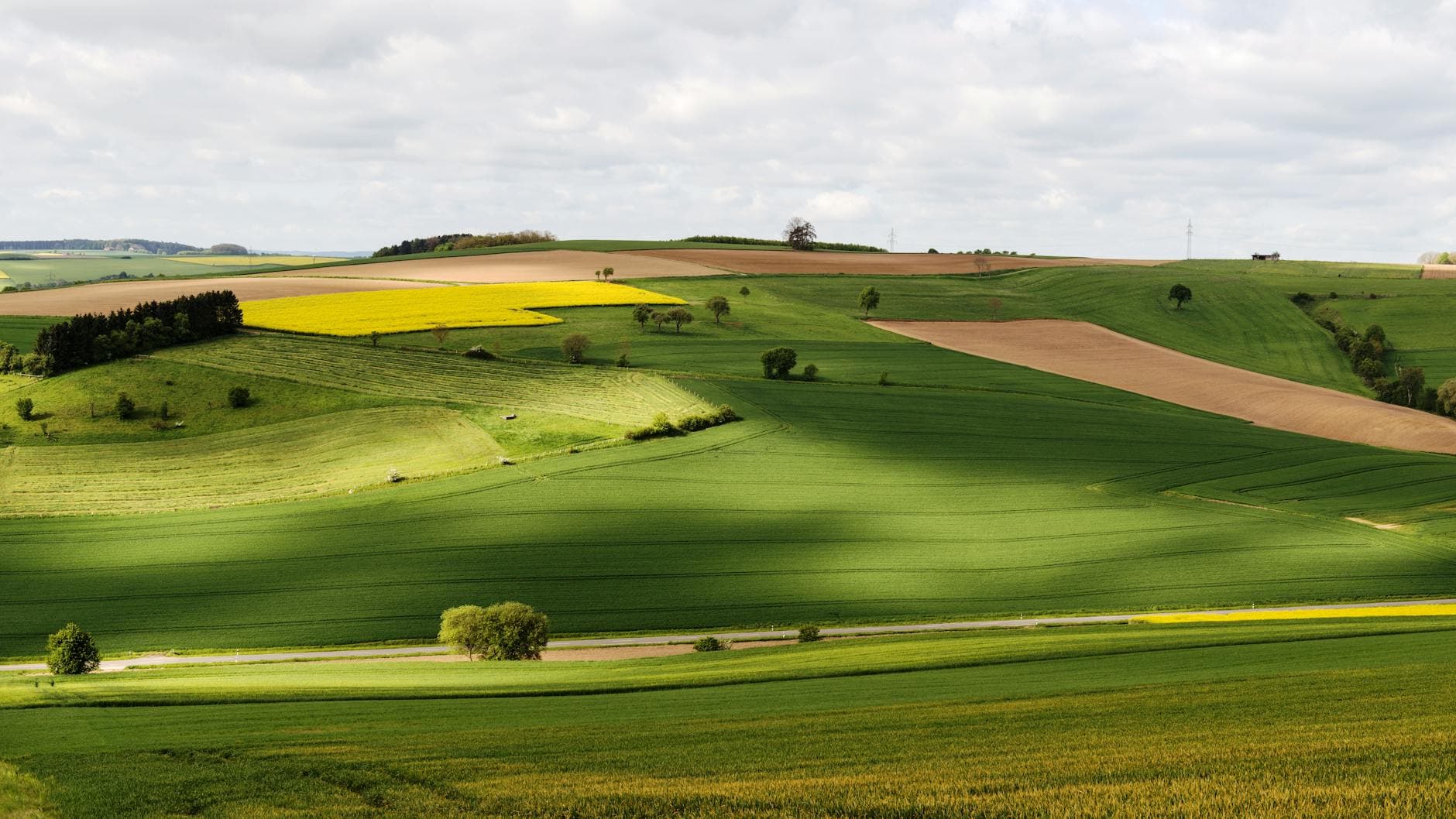Wellnessregion Pfalz