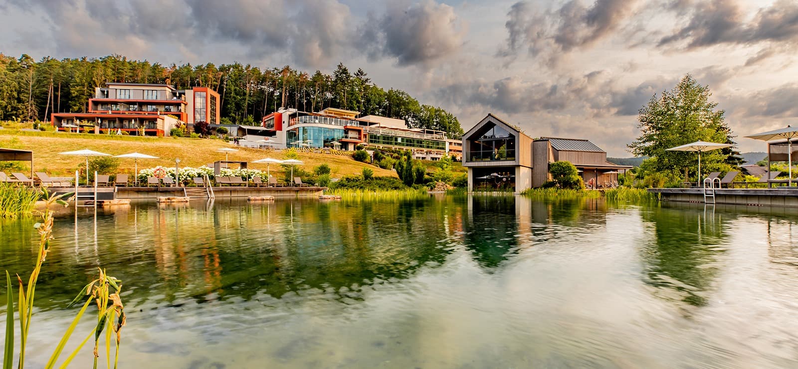 Pfalzblick Wald Spa Resort