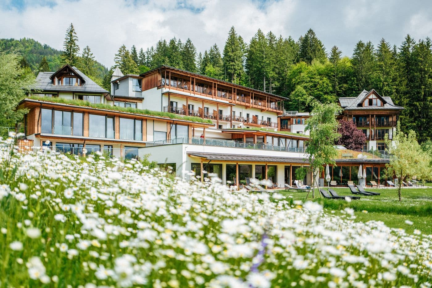 der daberer . das biohotel