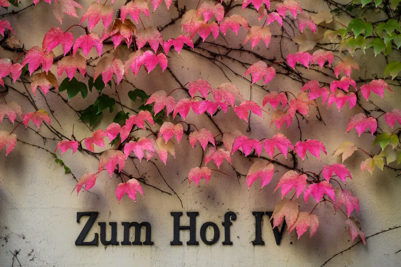 Die Hackeschen Höfe
