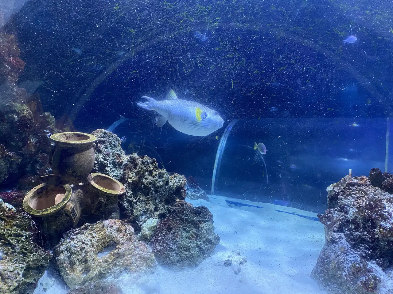 SEA LIFE Konstanz