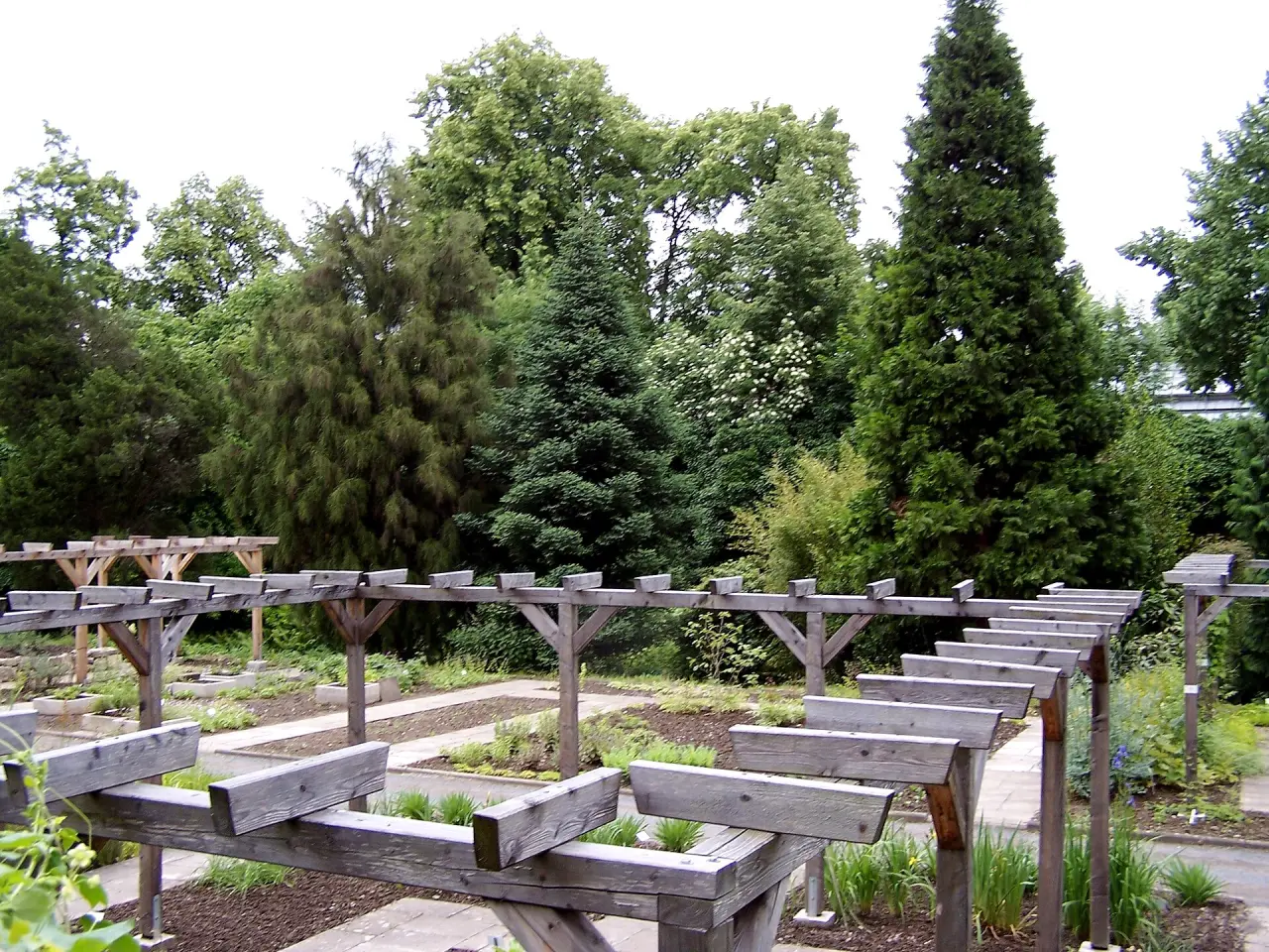 Alter Botanischer Garten