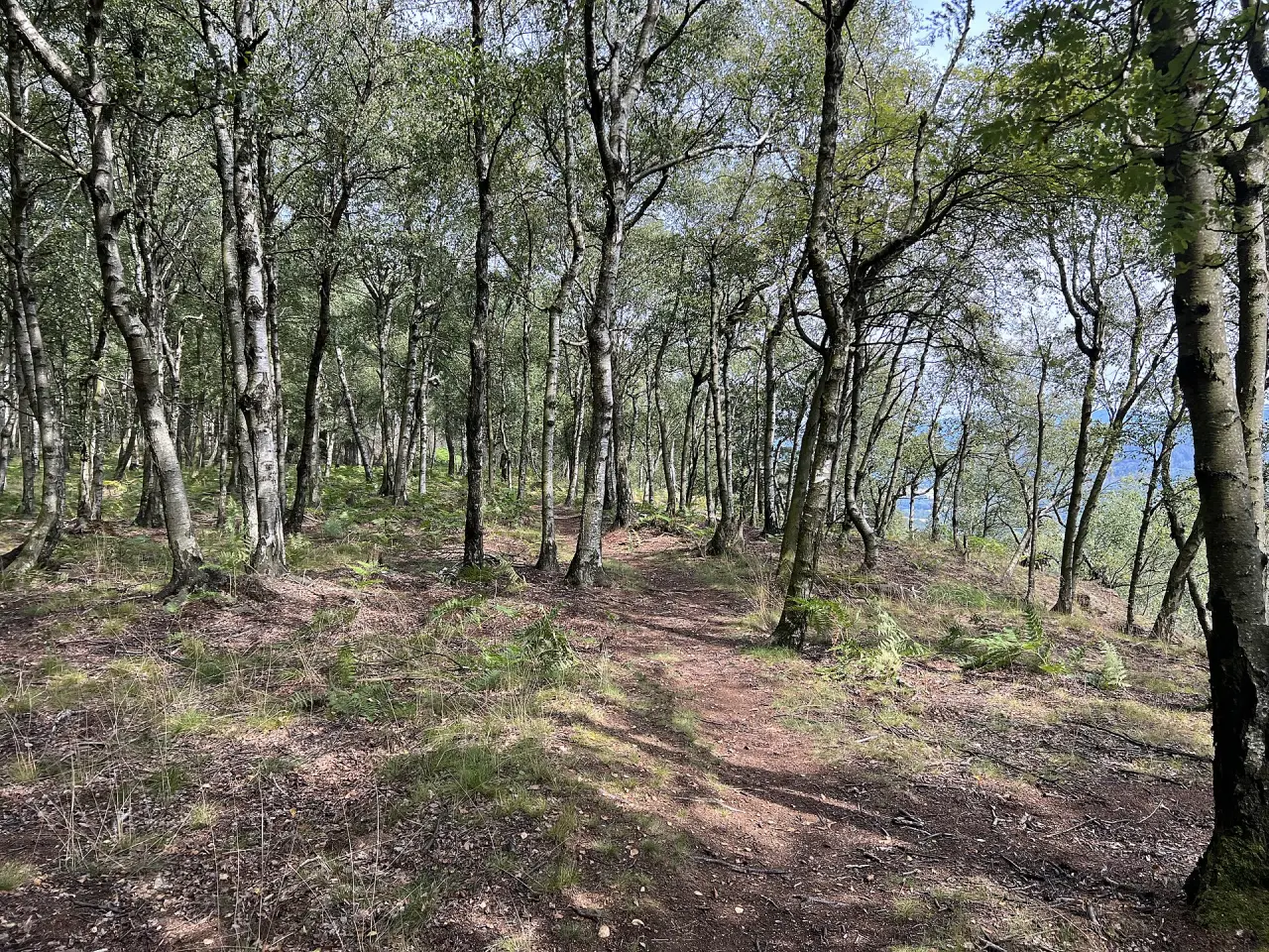 Tyssaer Wände