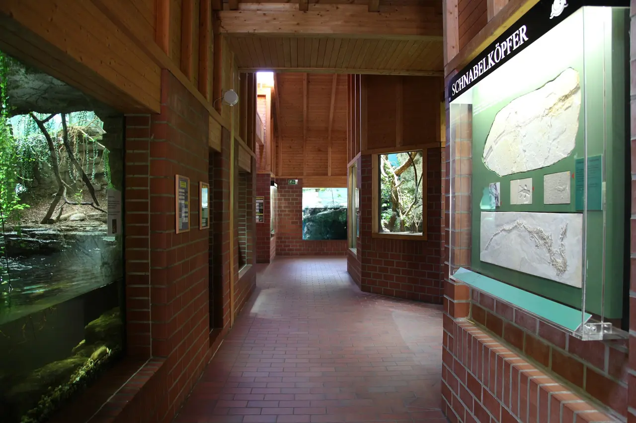 Tierpark + Fossilium Bochum