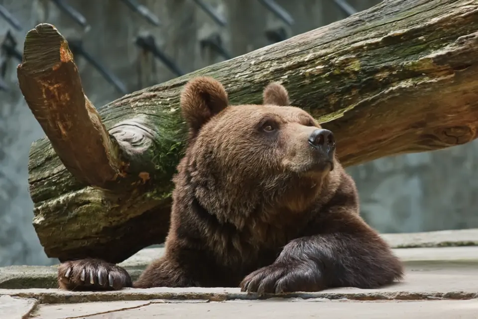 Tierpark Tannenkamp Wolgast