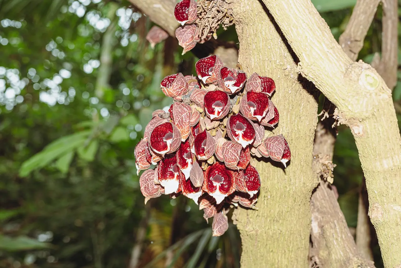 Botanischer Garten Oldenburg