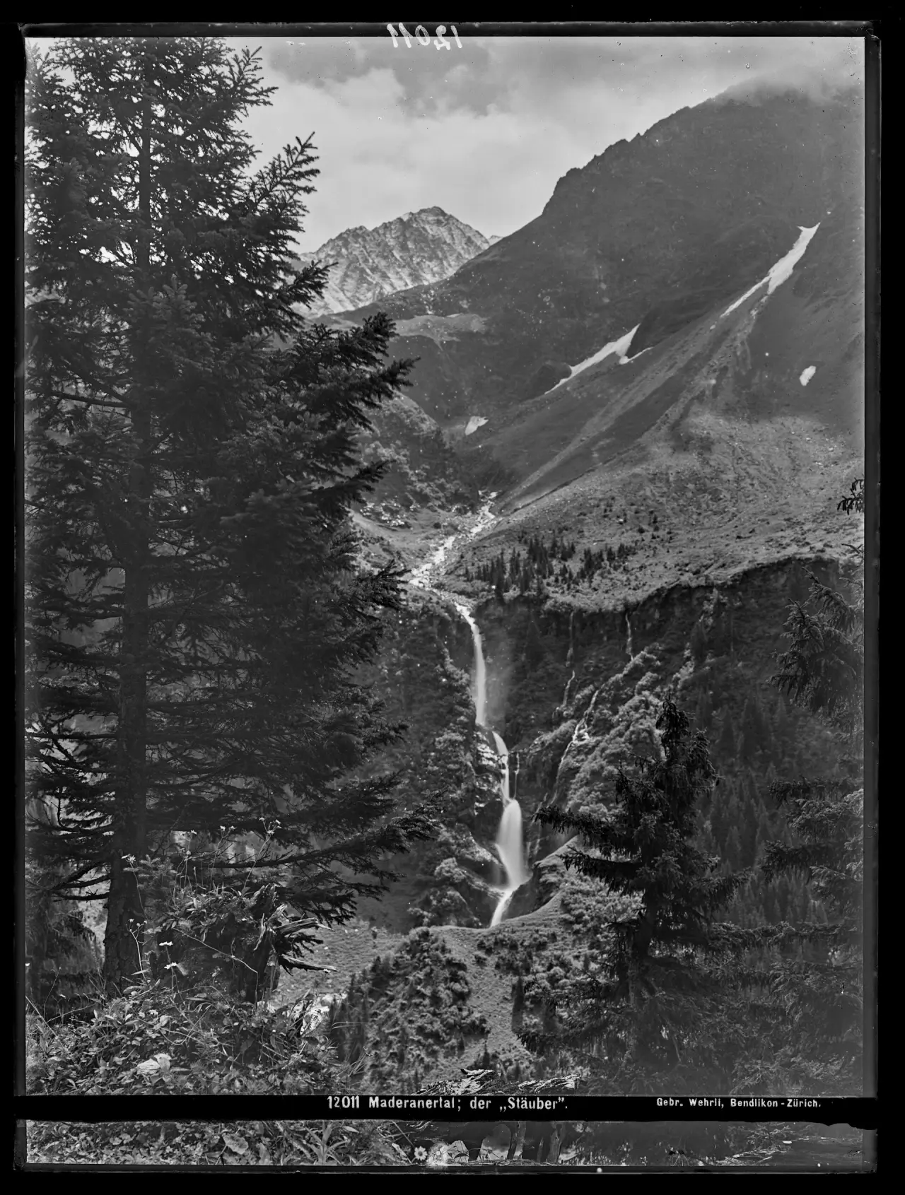 Stäubifall