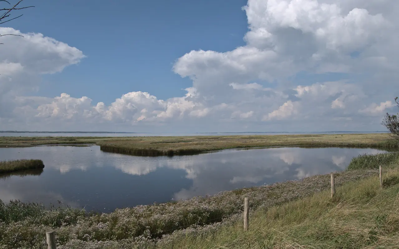 Naturschutzgebiet Geltinger Birk