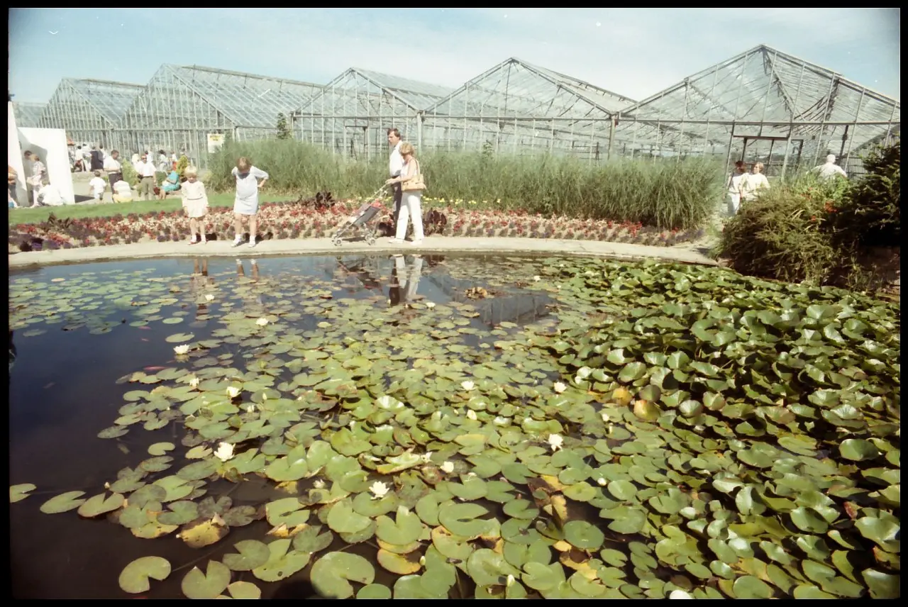 Schmetterlingsfarm