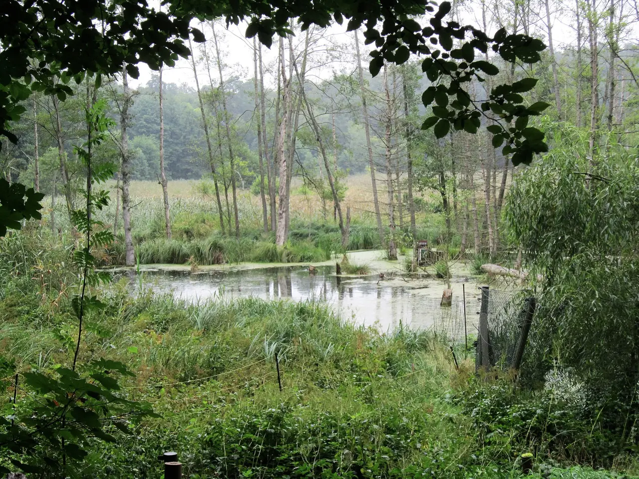 Tierpark Kunsterspring