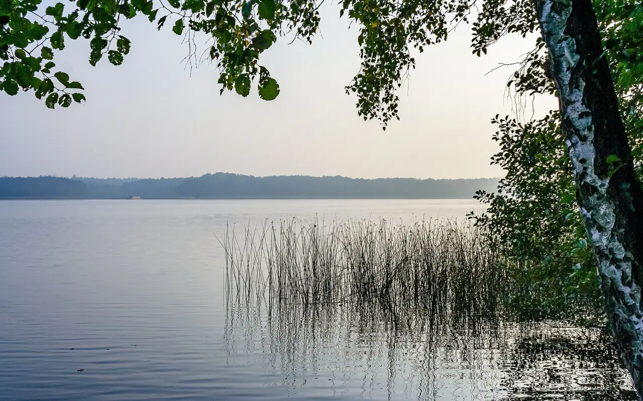 Ruppiner Wald- und Seengebiet