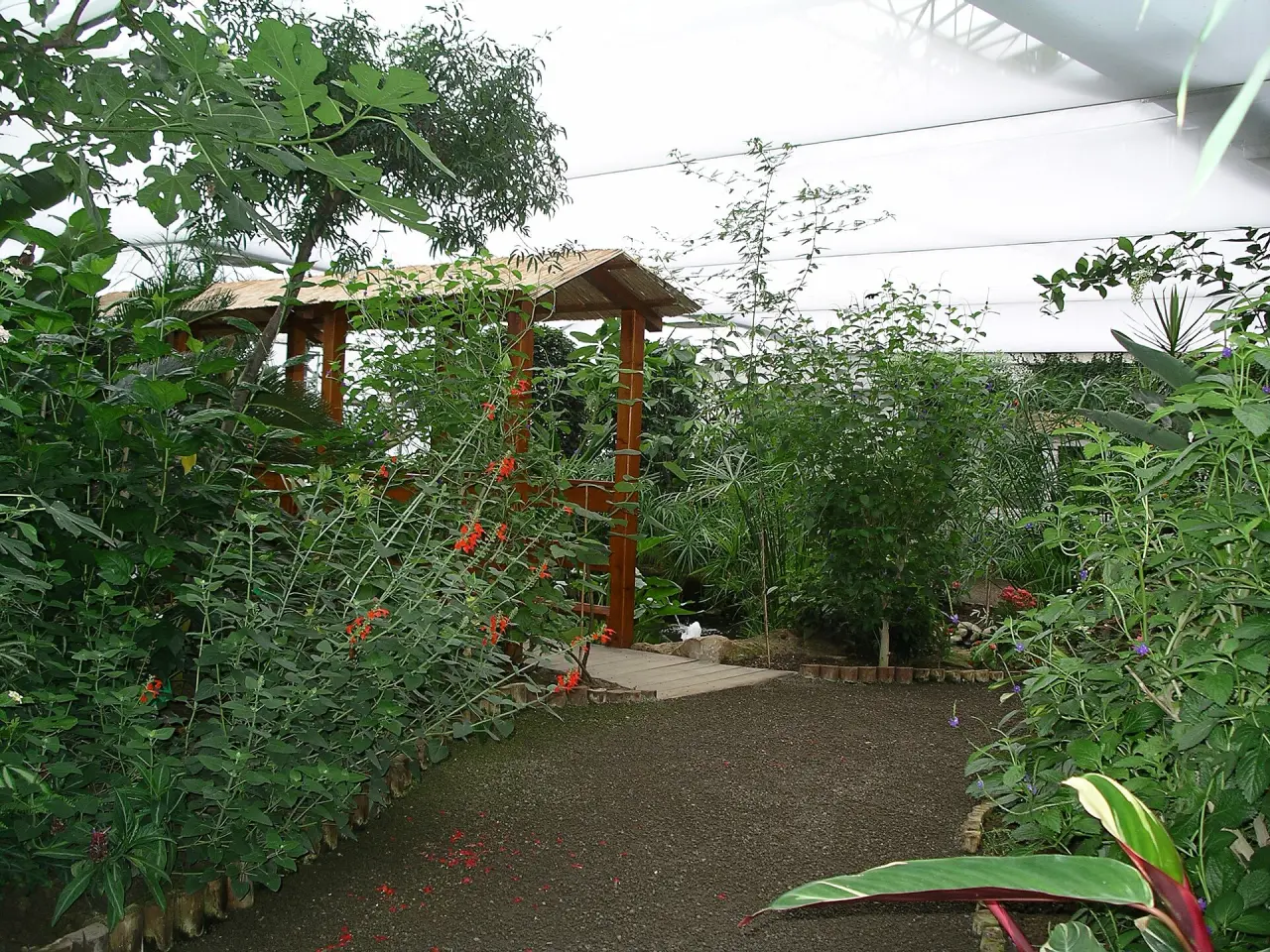 Schmetterlingsgarten Grevenmacher