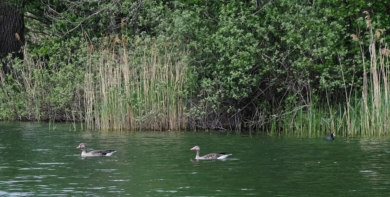 Naturpark Dahme-Heideseen