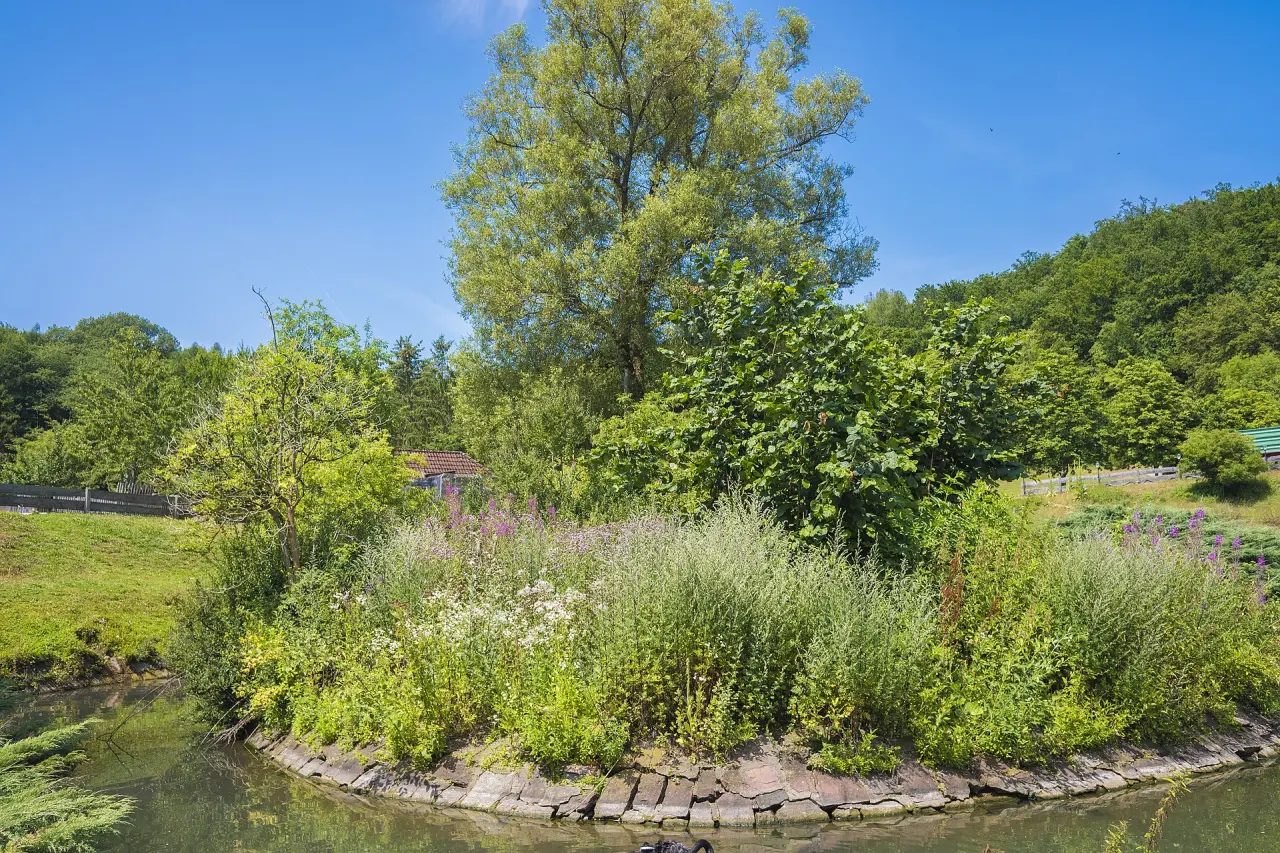 Wild-Park Klaushof
