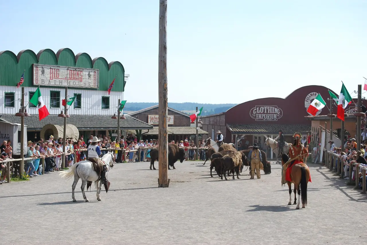 Pullman City Harz