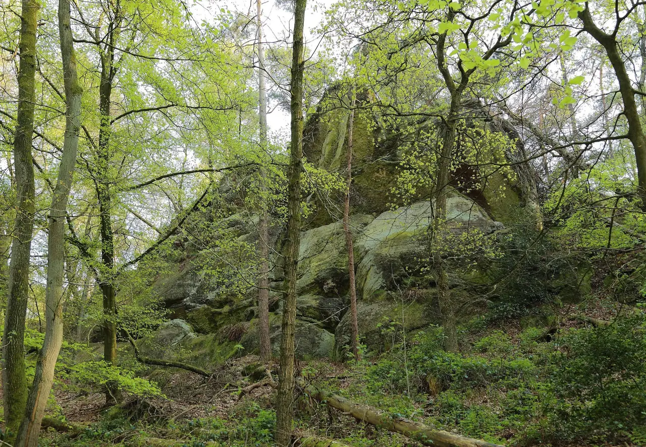 Dörenther Klippen
