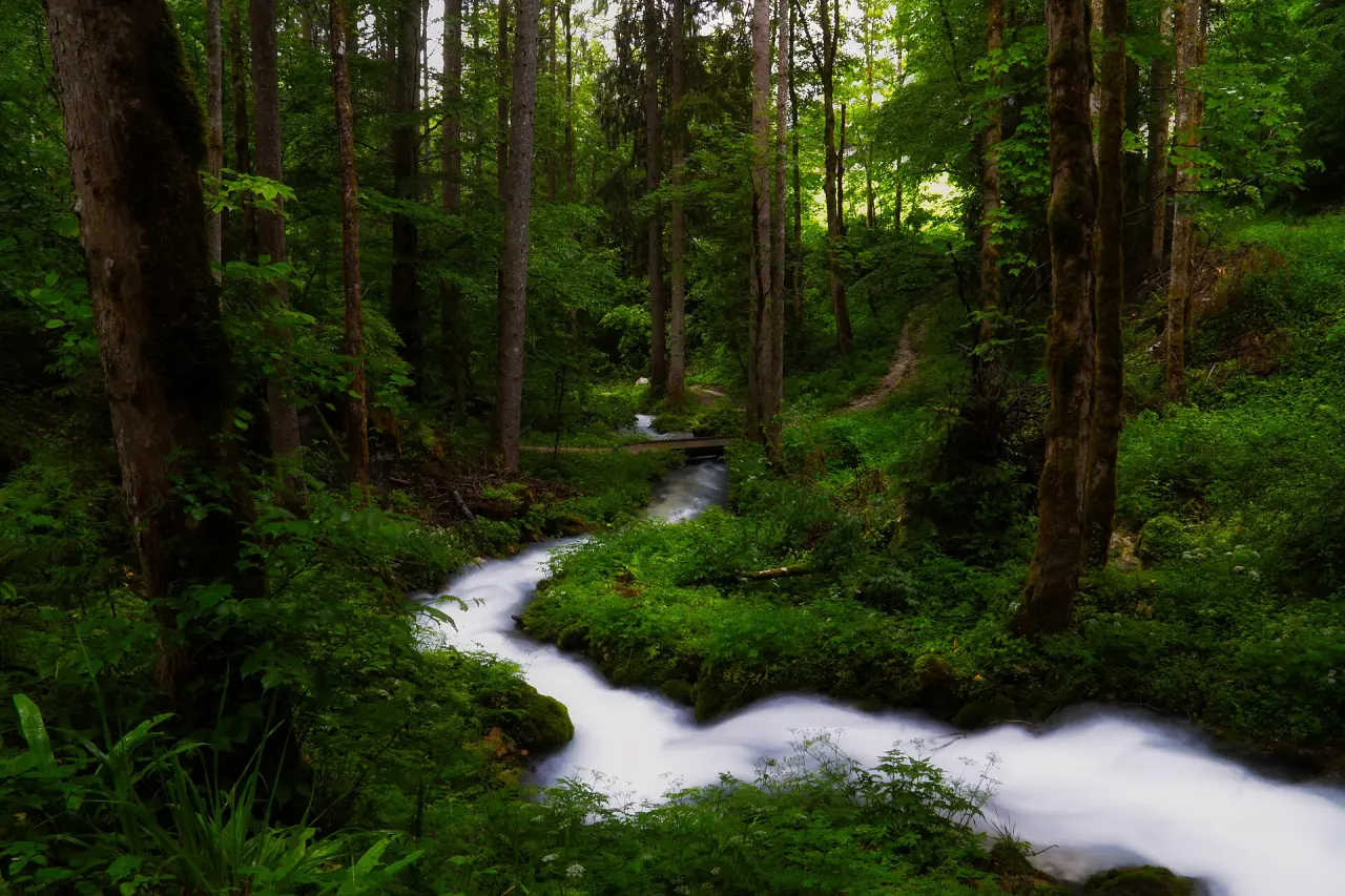 Zauberwald Ramsau