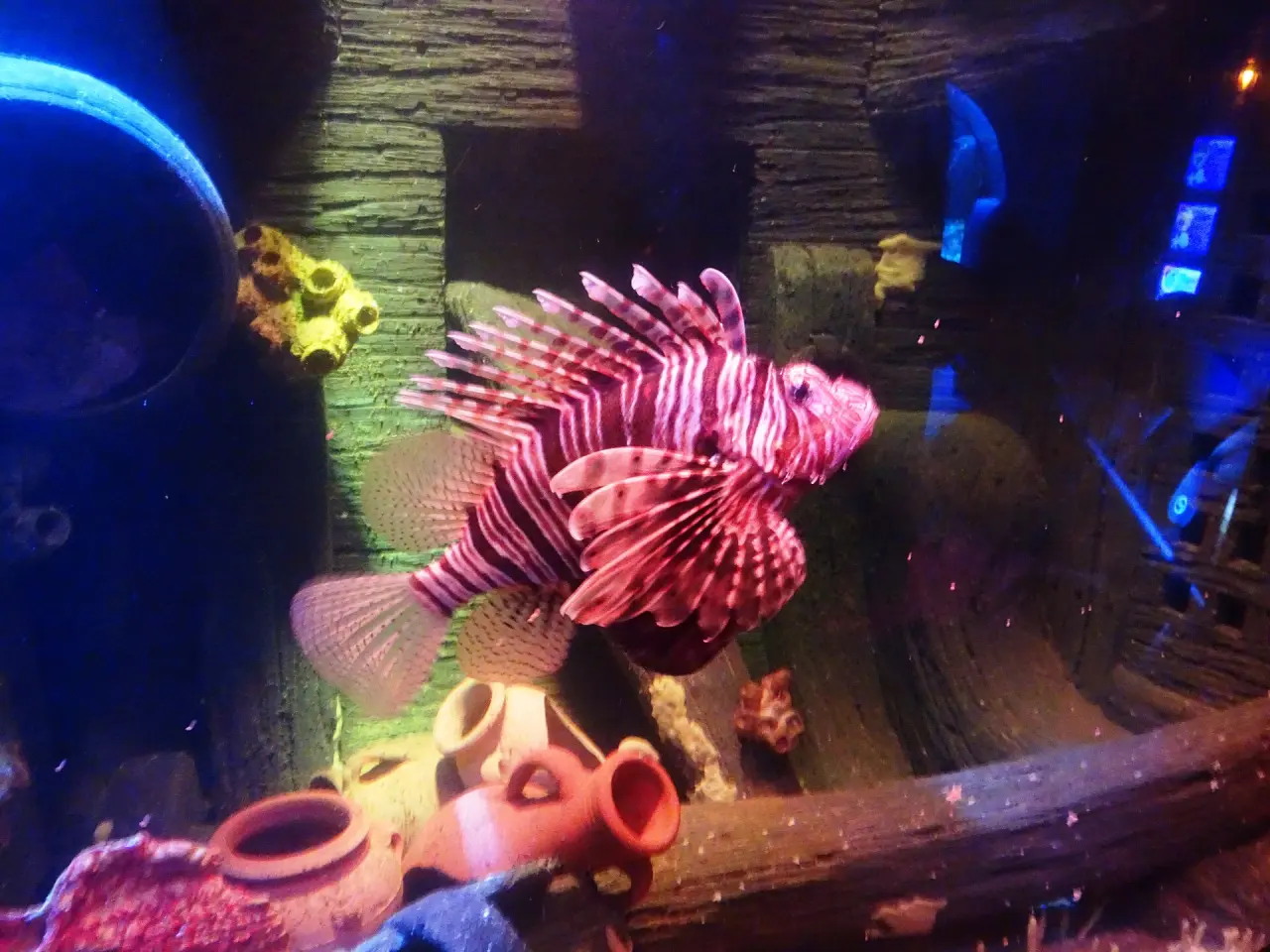 SEA LIFE Oberhausen