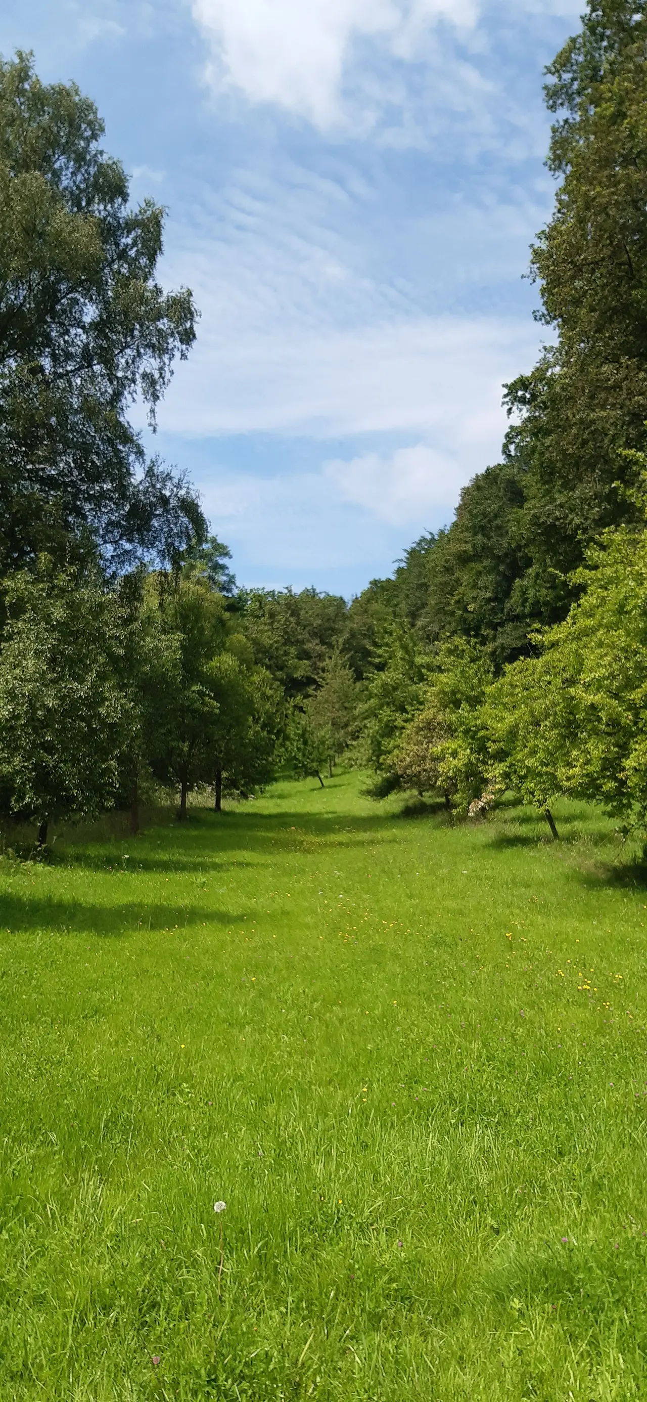Lochbachklamm
