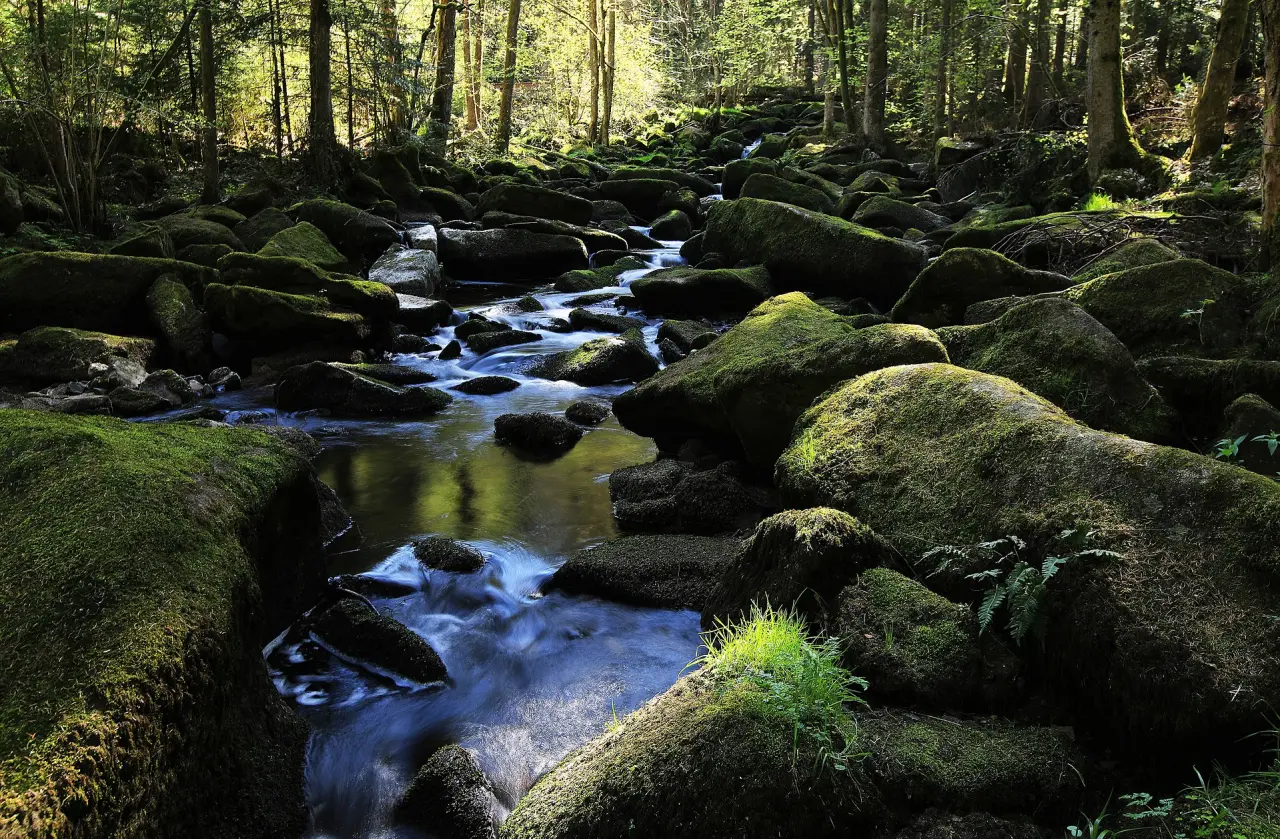 Saußbachklamm