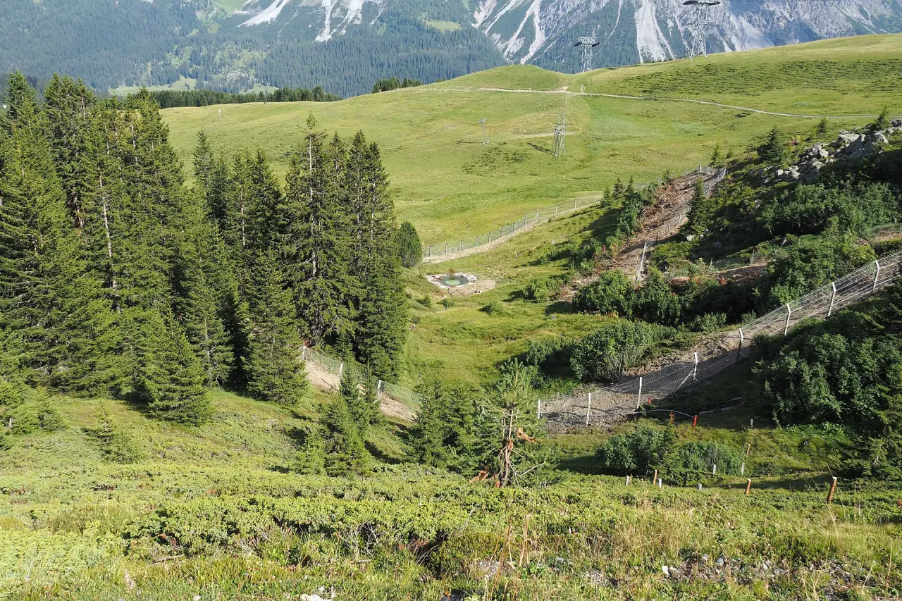 Arosa Bärenland
