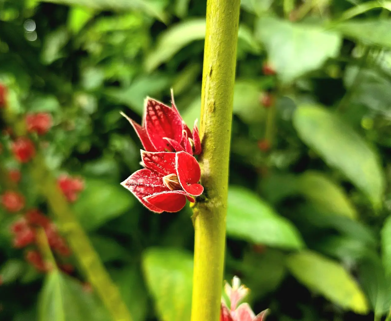 Ökologisch-Botanischer Garten Bayreuth