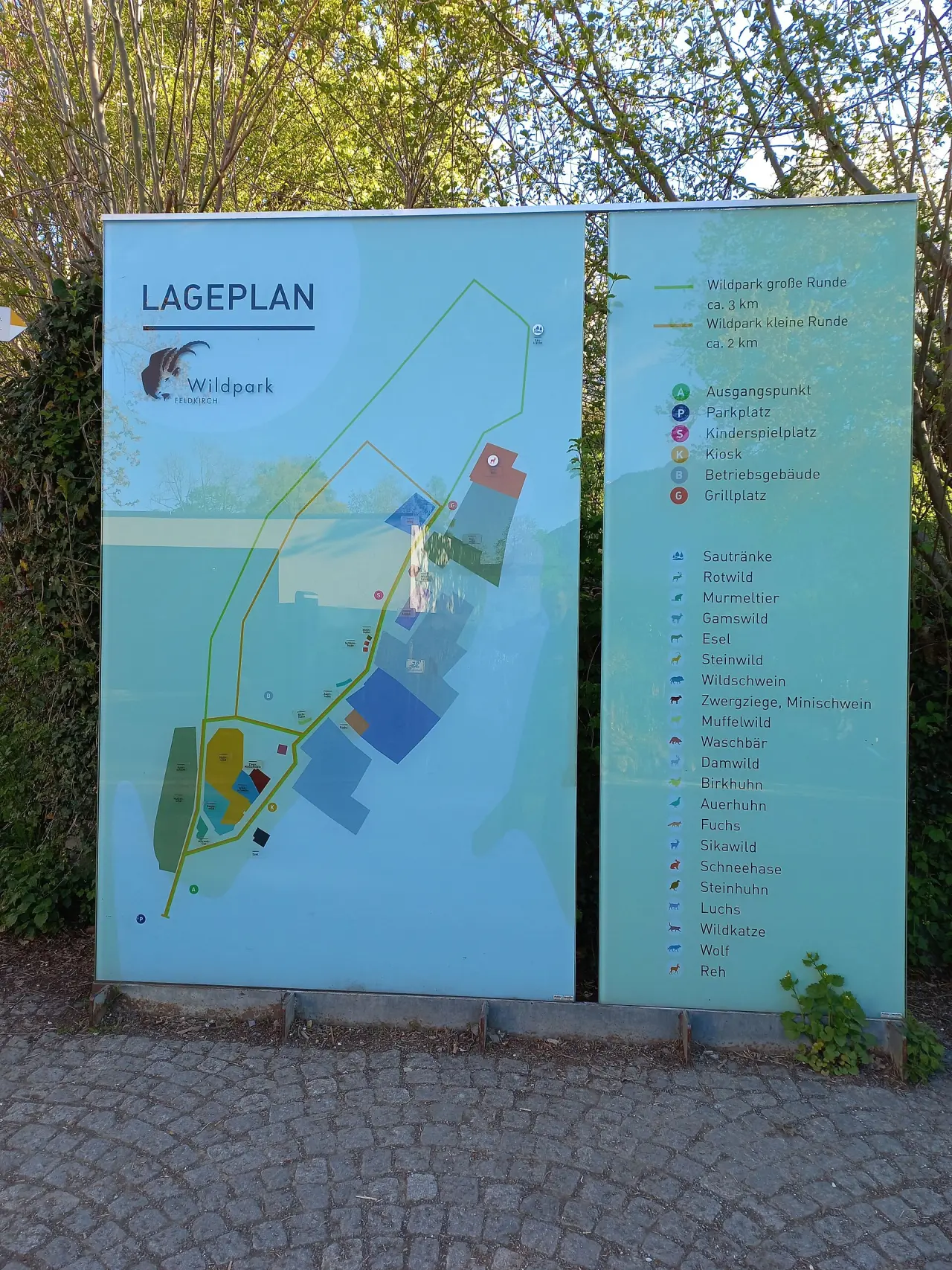Wildpark Feldkirch