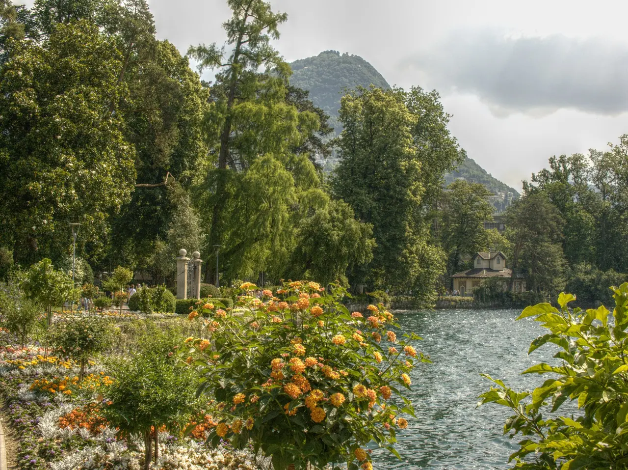 Park Ciani
