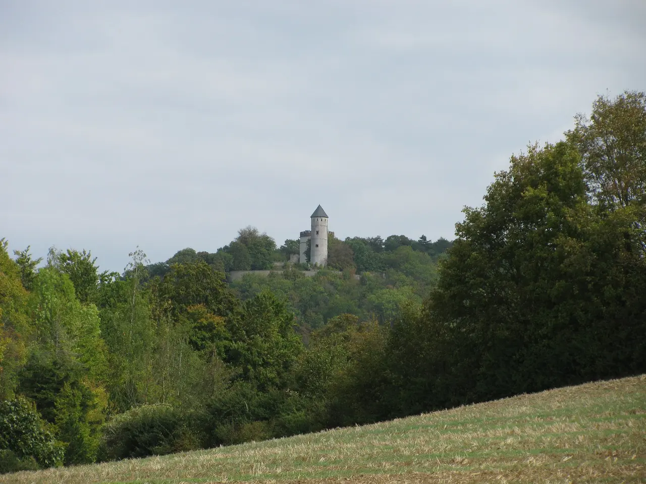 Burg Plesse