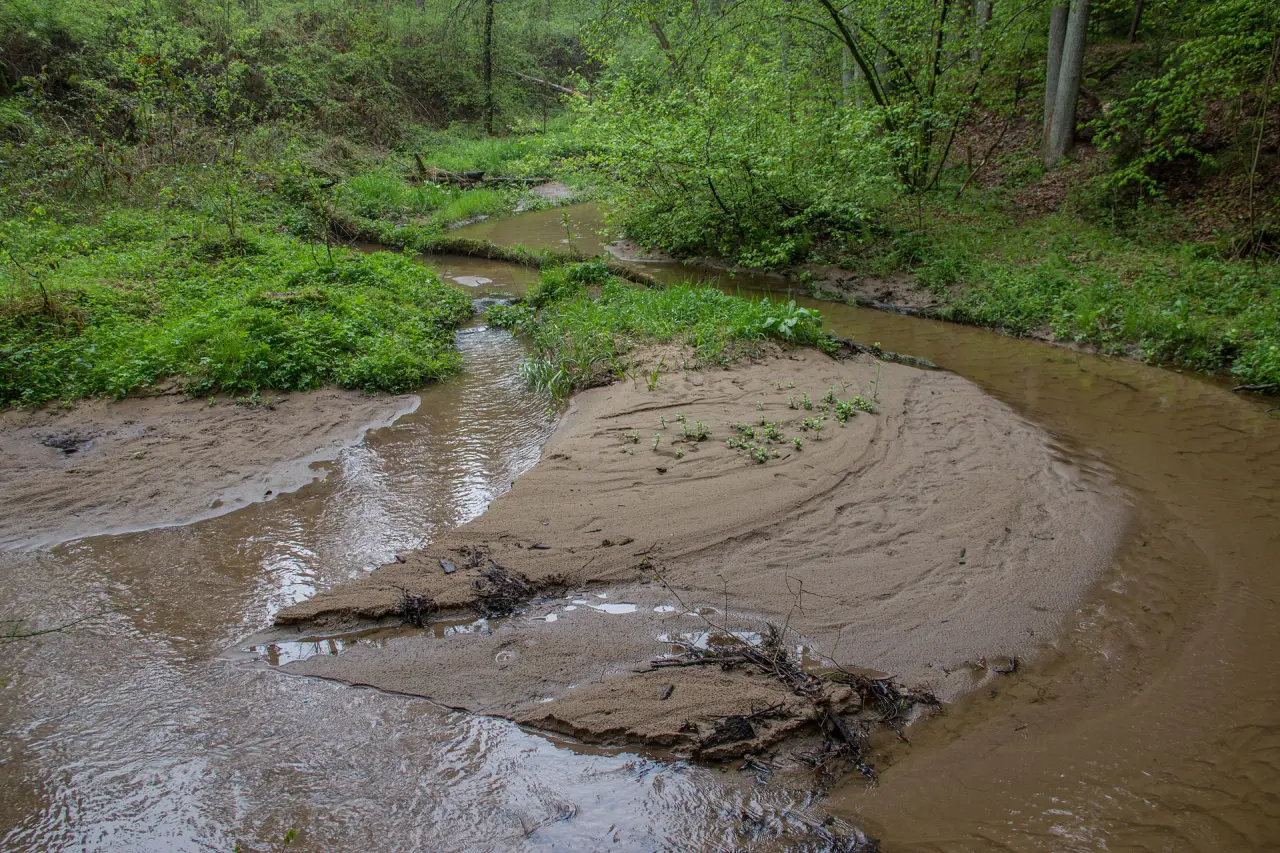 Bitterbachschlucht