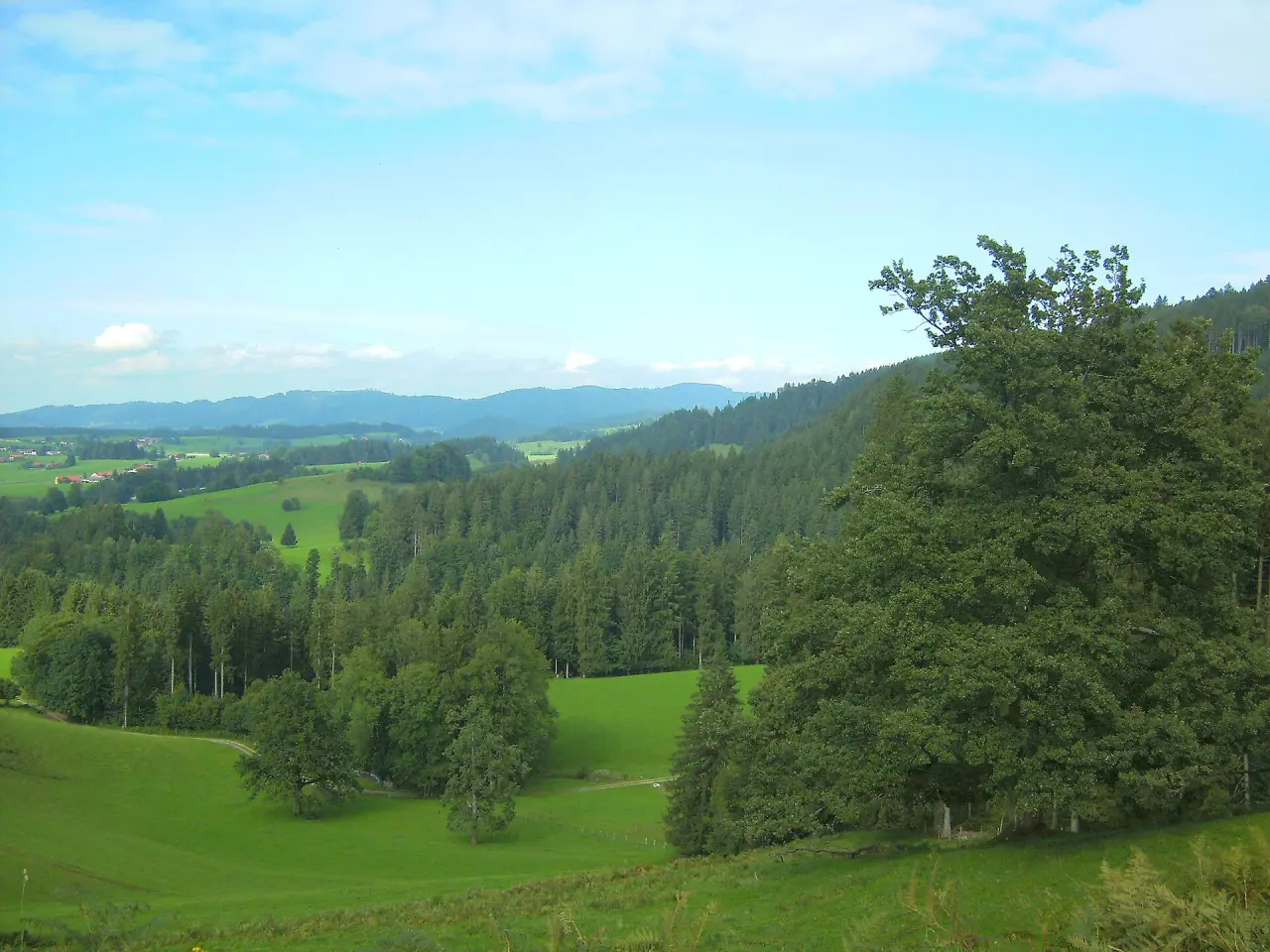 Eistobel