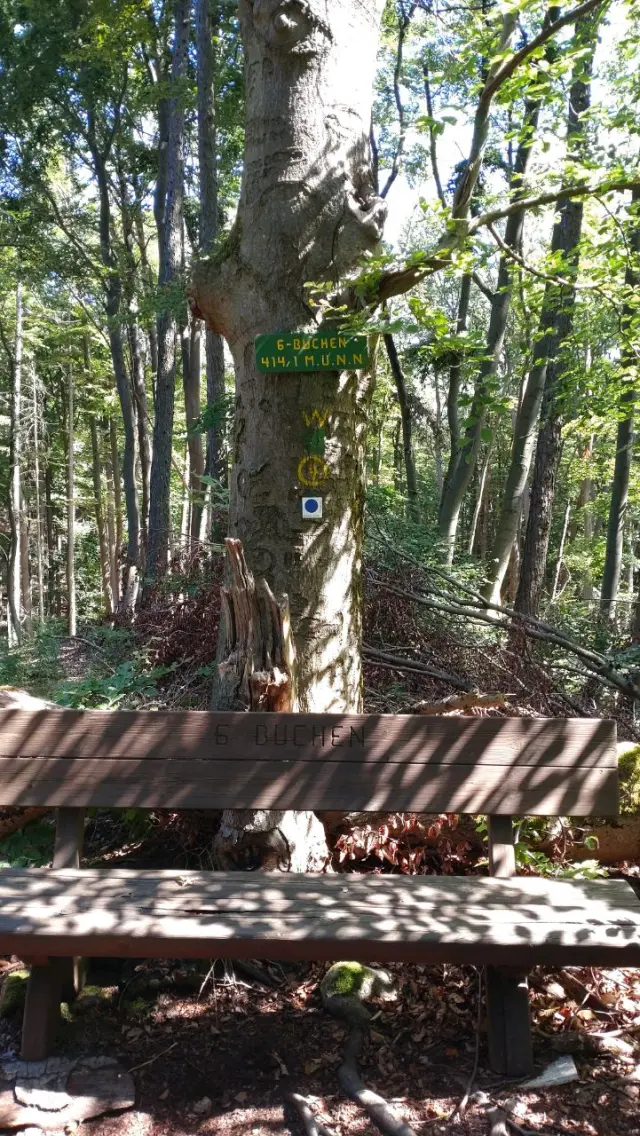 Nationalpark Kellerwald-Edersee