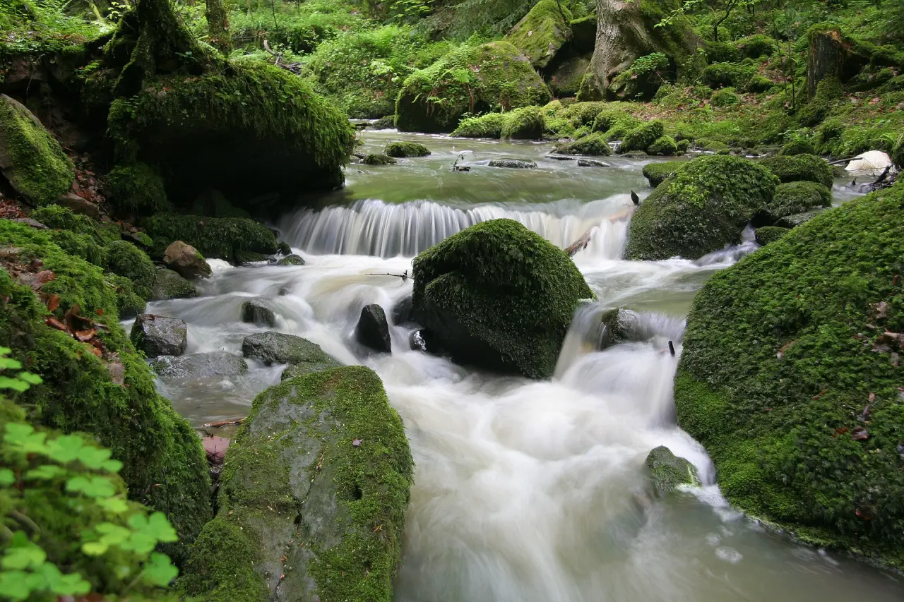 Monbachschlucht