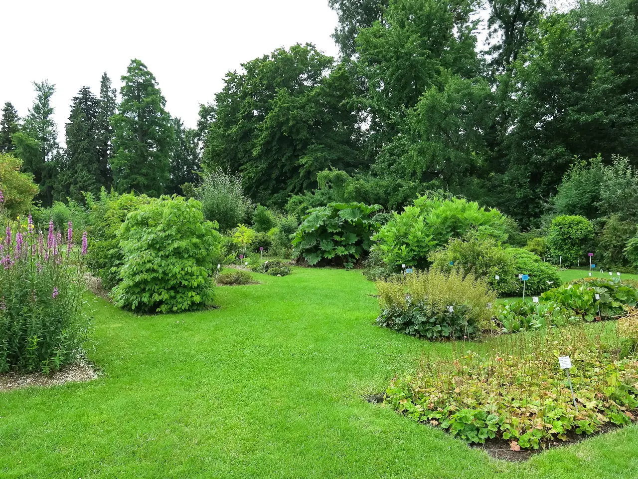 Botanische Gärten der Universität Bonn