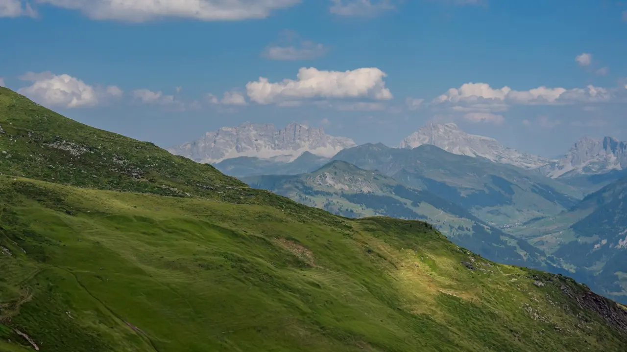 Arosa