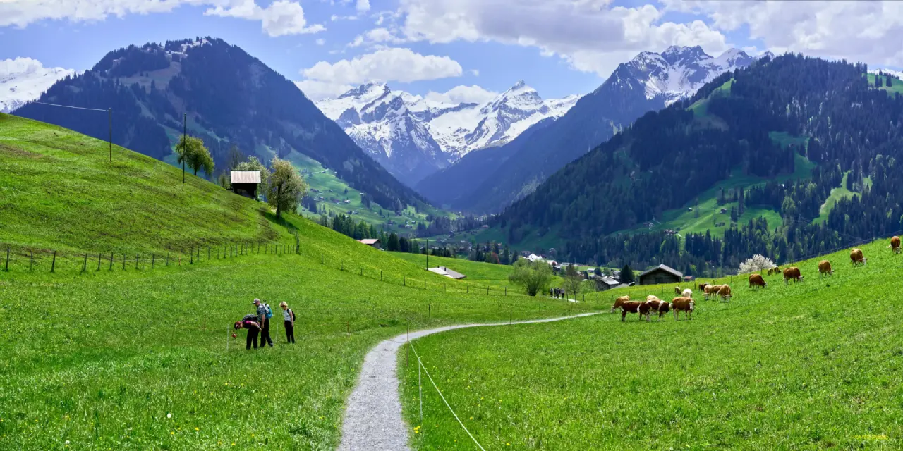 Wellnesshotels in Gstaad