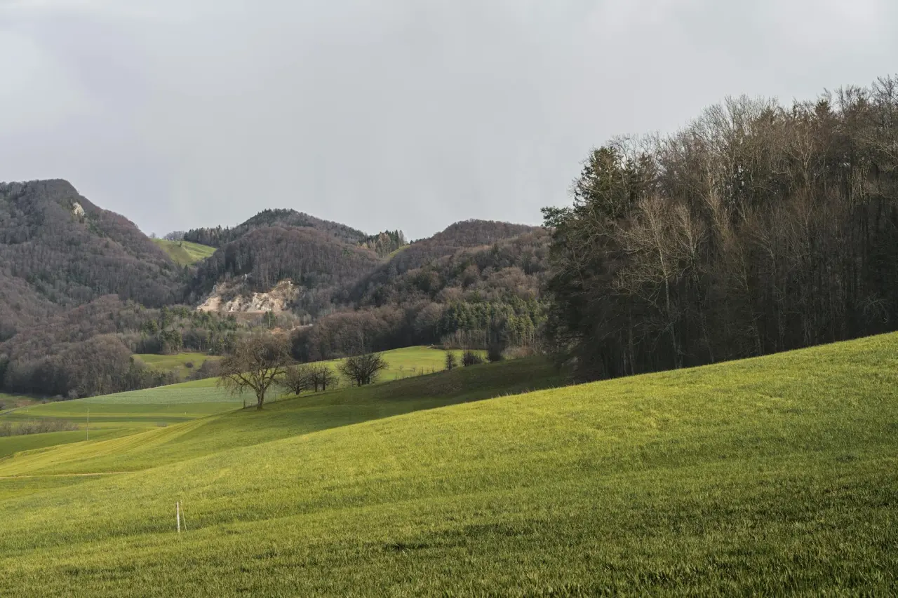 Langschlag