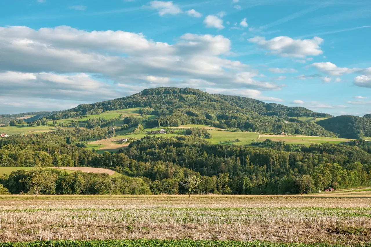 Wellnesshotels in Stromberg-Bingen